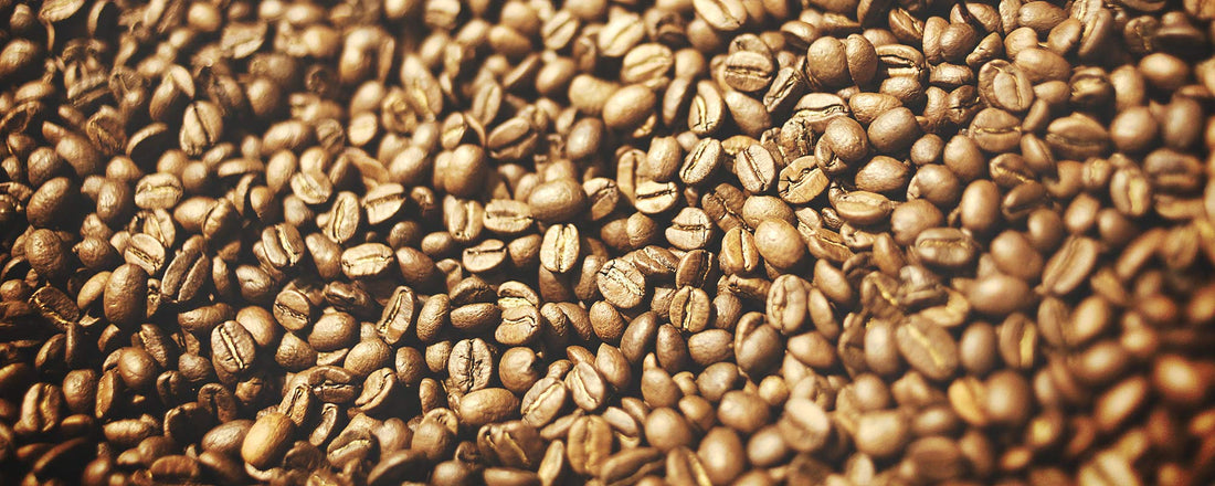 Robusta coffee beans.
