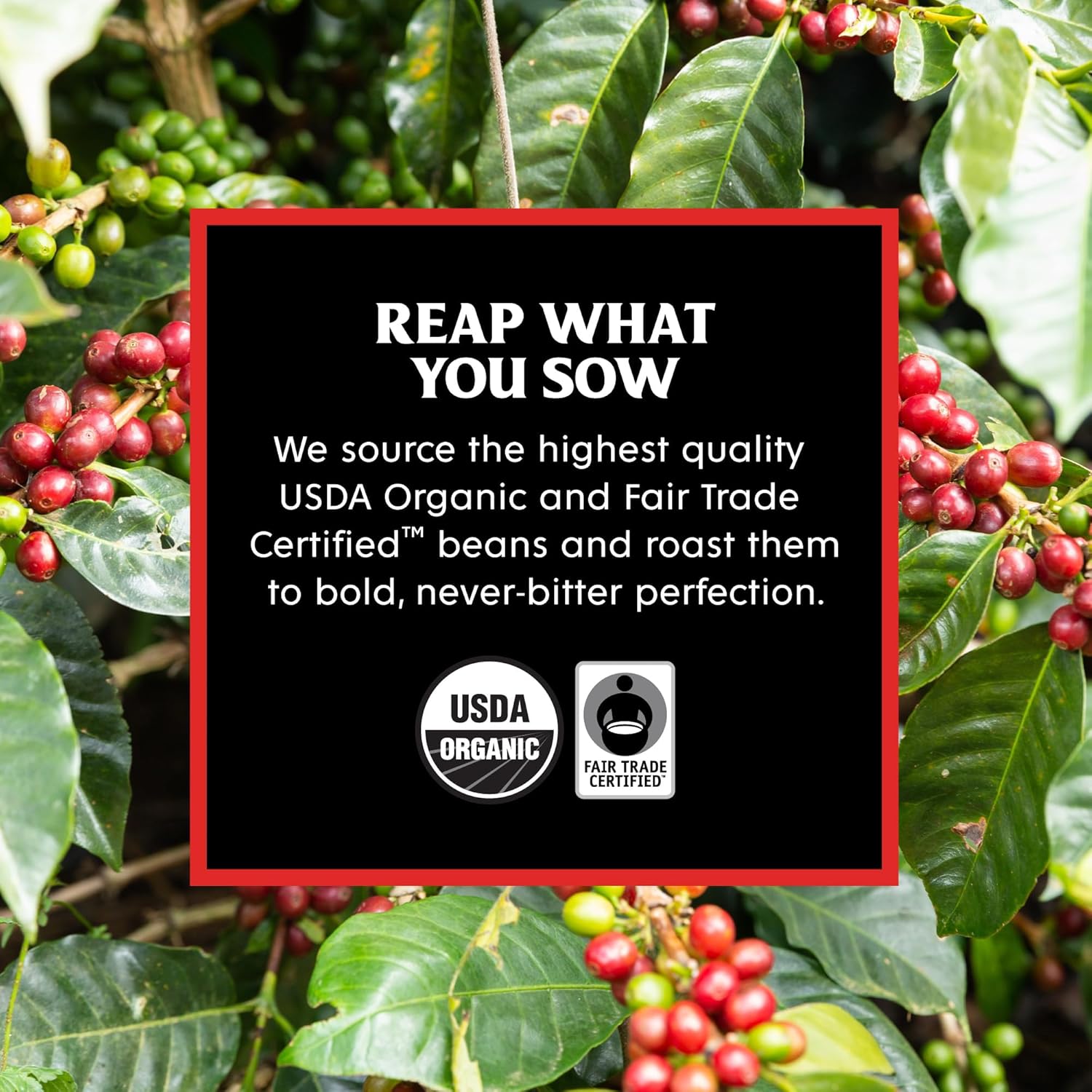 Death Wish Coffee - Organic and Fair Trade Certified.