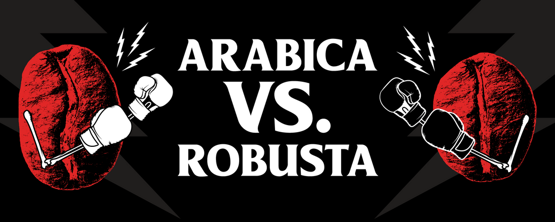 An arabica and robusta bean wearing boxing gloves.