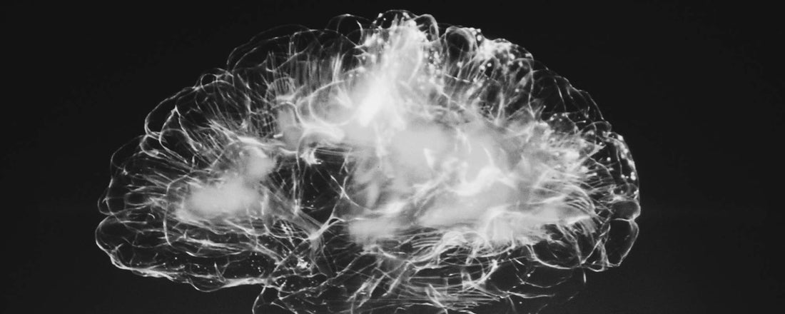 An x-ray image of a black and white human brain.