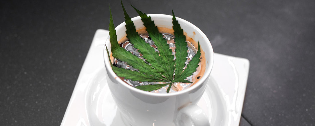 A marijuana leaf on top of a mug of coffee.