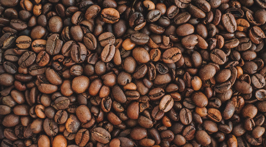 A close up of fresh Arabica coffee beans.