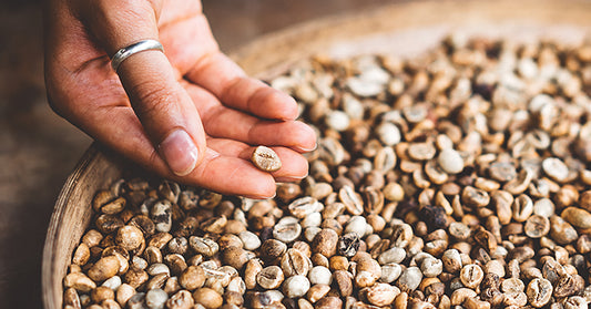 Coffee antioxidants found to work better than vitamin C