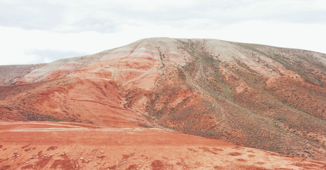 Coffee on Mars? Here's what science says