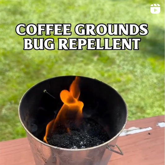 How to make bug repellent using old coffee grounds.