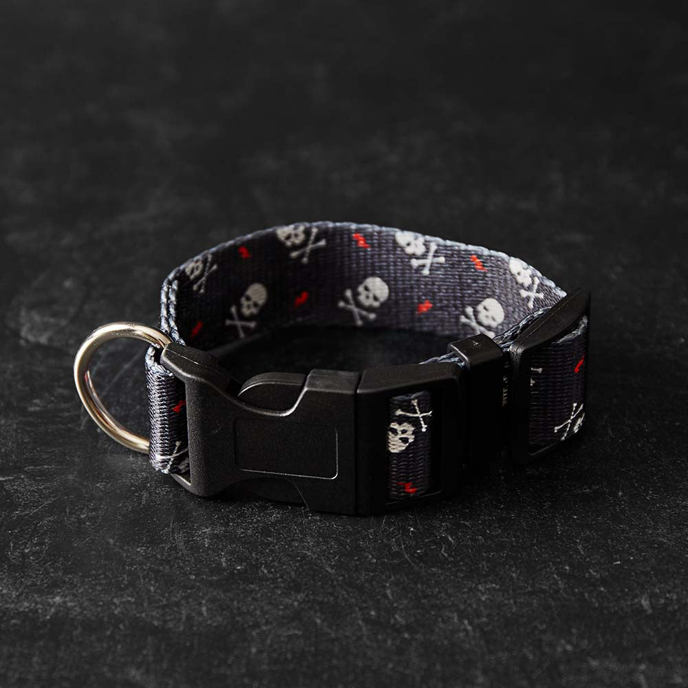 Crossbone Collar and Leash
