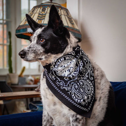 A dog wearing the Death Wish Coffee Hell Hound Pet Bandana.