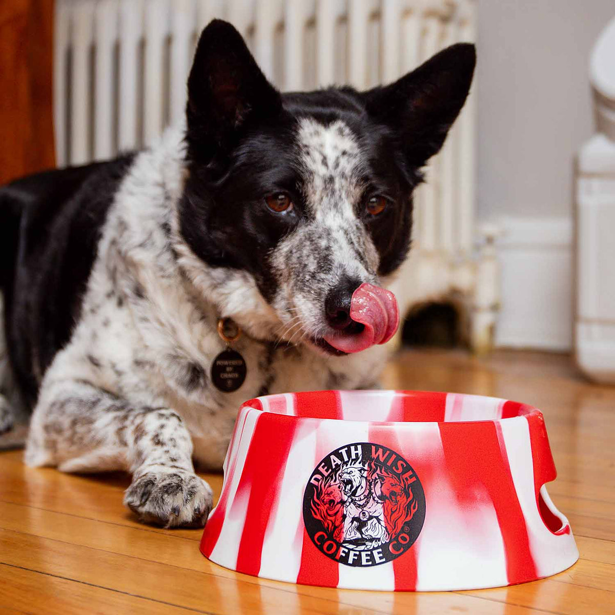 A dog licking his lips after using the Death Wish Coffee Hell Hound 1L Silicone Dog Bowl.