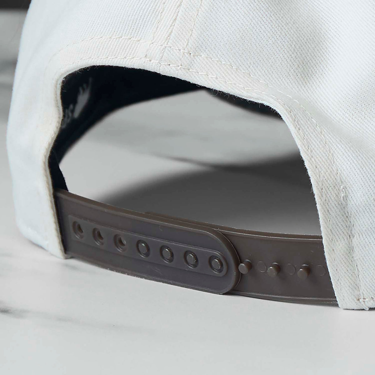 Hidden In Plain Sight Snapback
